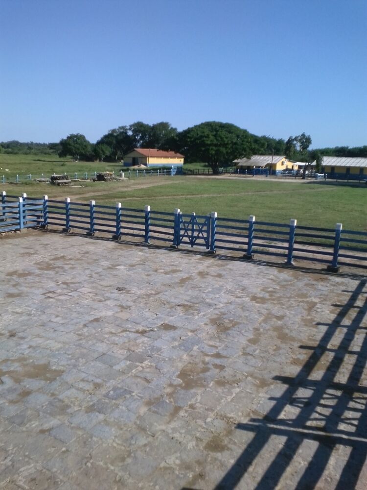 Fazenda, 310 m² - Foto 26