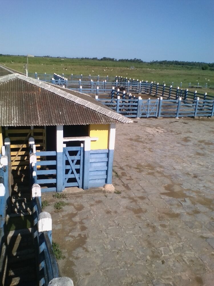 Fazenda, 310 m² - Foto 27