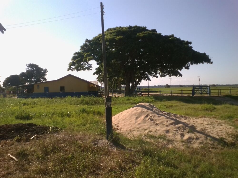 Fazenda, 310 m² - Foto 15