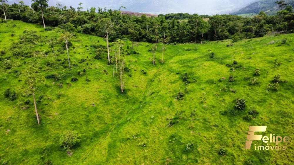 Fazenda à venda com 1 quarto, 113m² - Foto 4