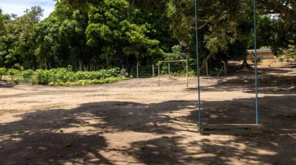 Sítio, 3 quartos, 7 hectares - Foto 6