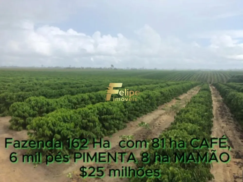 Fazenda, 162 m² - Foto 9