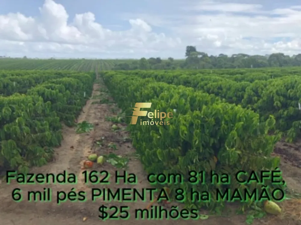 Fazenda, 162 m² - Foto 1