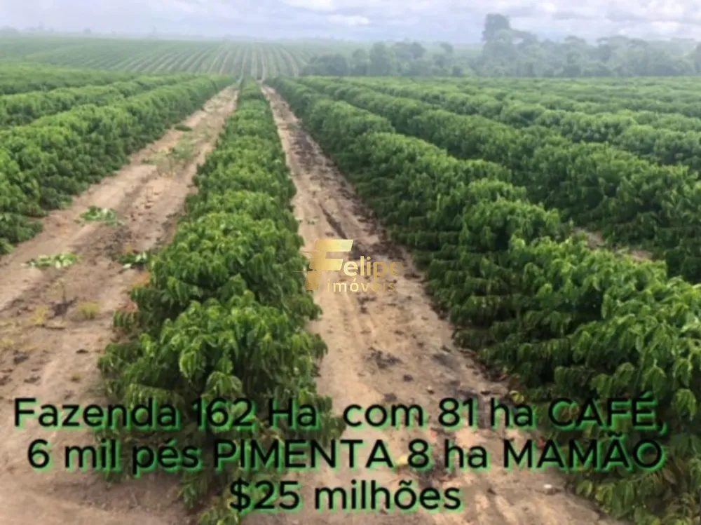 Fazenda, 162 m² - Foto 11