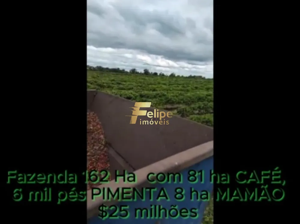 Fazenda, 162 m² - Foto 3