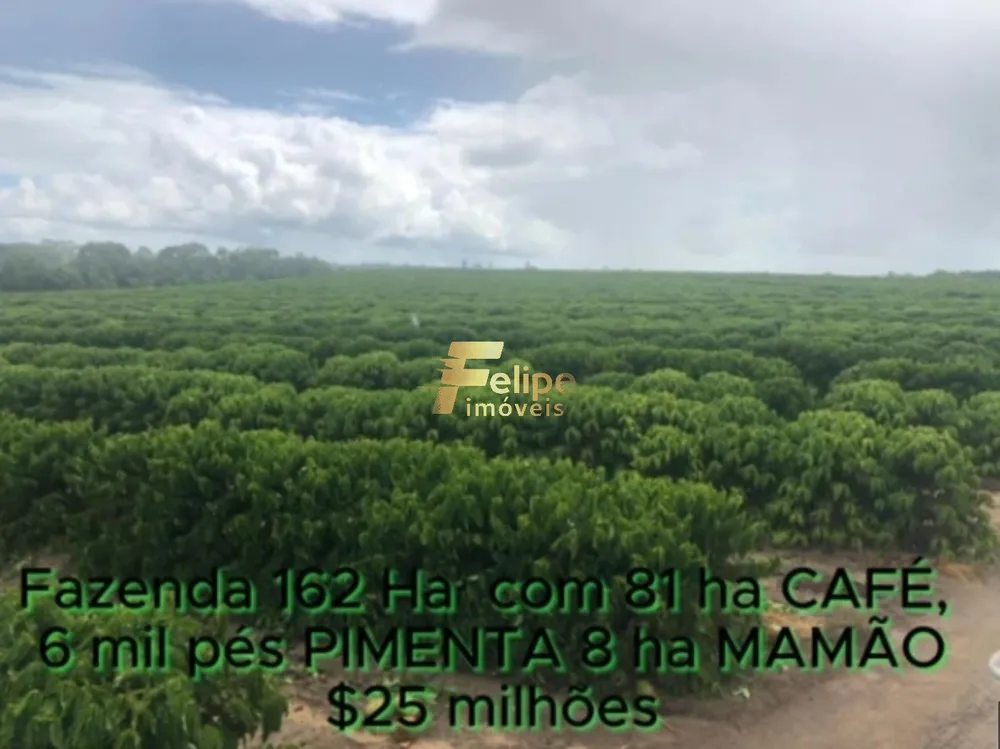 Fazenda, 162 m² - Foto 8