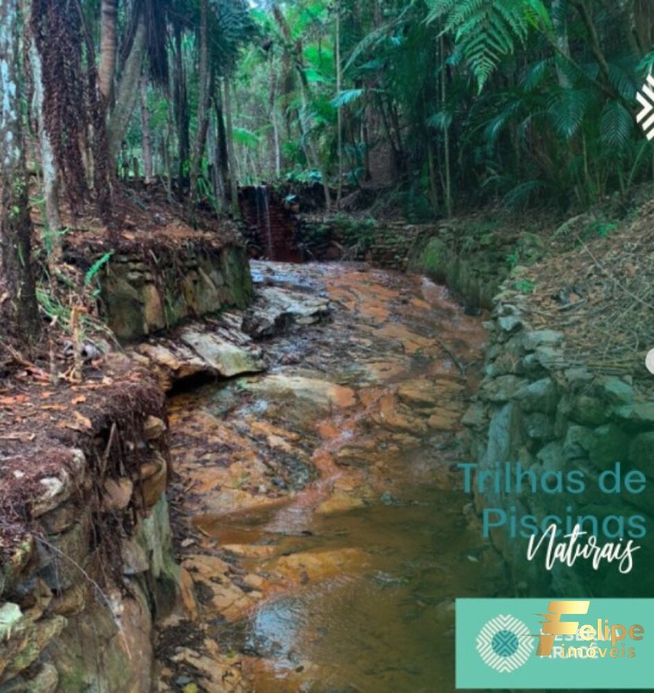 Terreno, 3 hectares - Foto 6