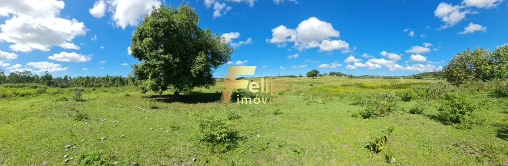 Fazenda, 52 m² - Foto 4