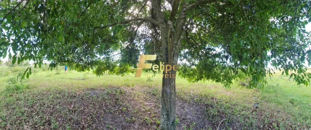 Fazenda, 52 m² - Foto 10