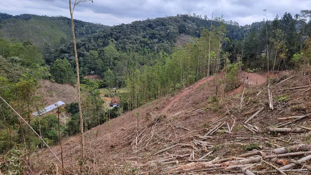 Terreno à venda, 44000m² - Foto 1