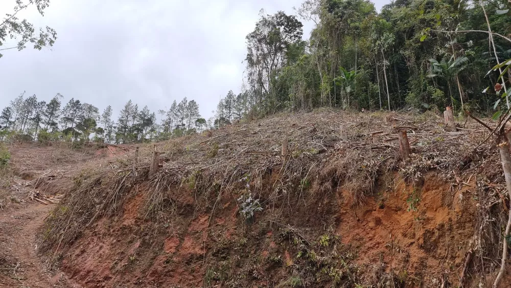 Terreno à venda, 44000m² - Foto 2