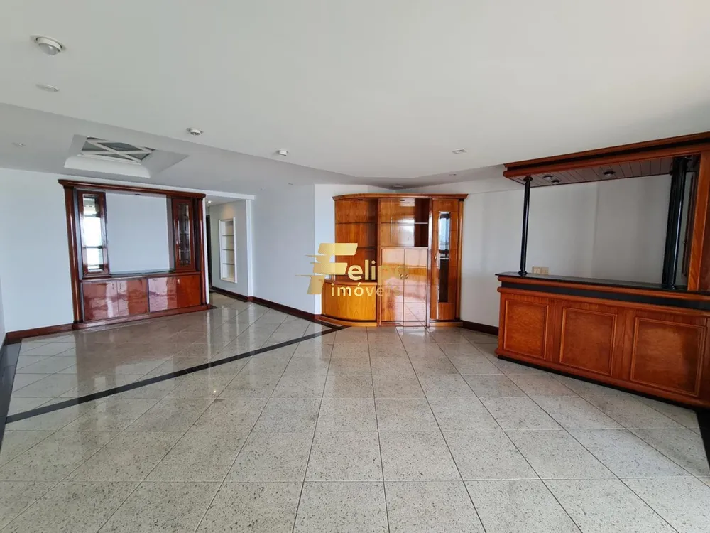 Apartamento, 4 quartos, 228 m² - Foto 11