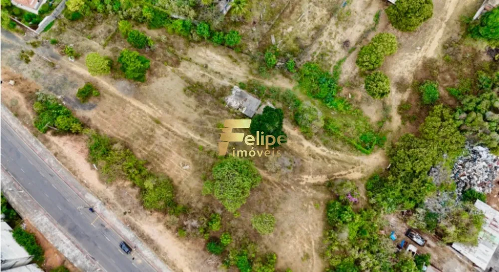 Terreno, 9500 m² - Foto 8