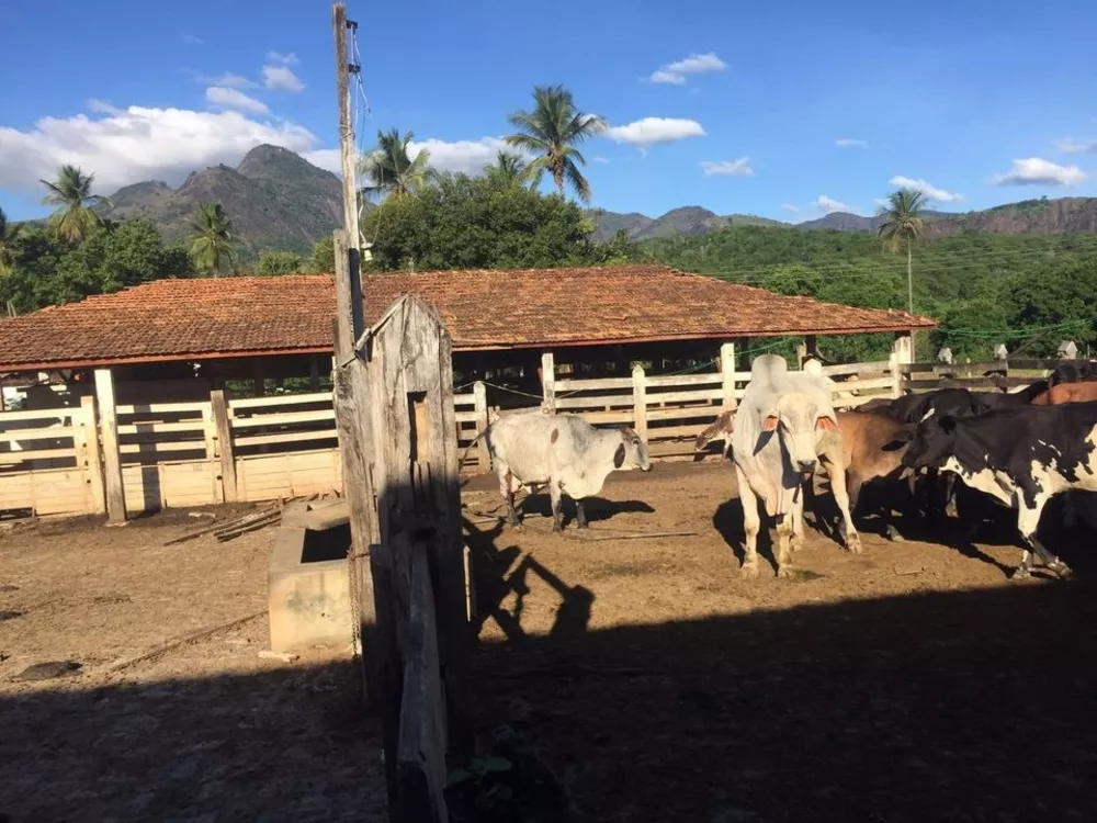 Fazenda à venda com 2 quartos, 113m² - Foto 3