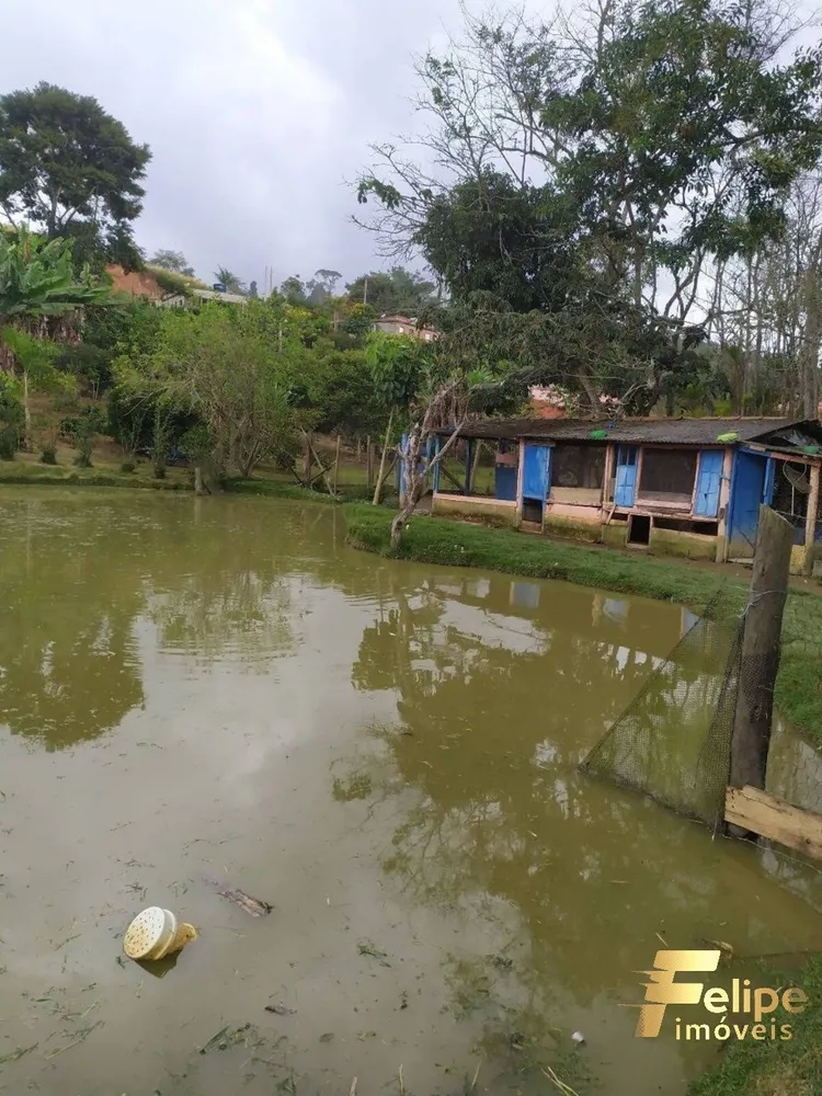 Chácara, 4 quartos - Foto 5