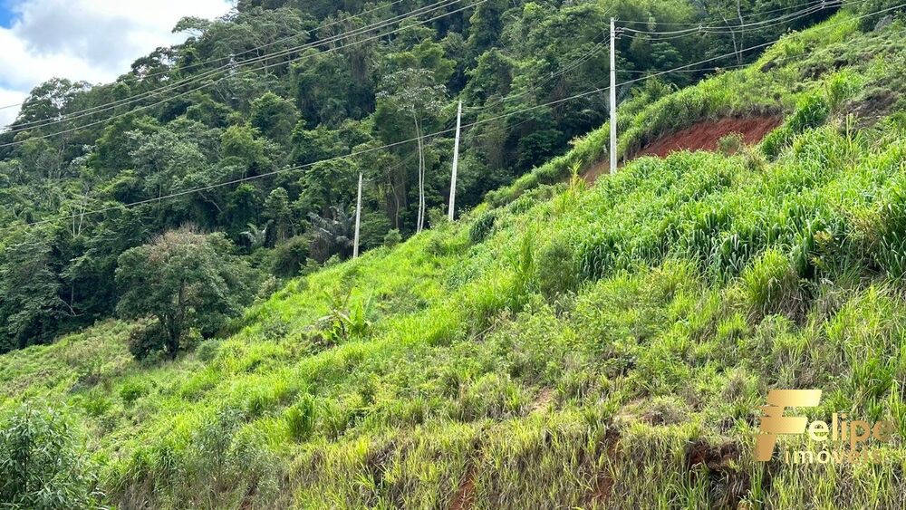 Terreno, 2 hectares - Foto 2