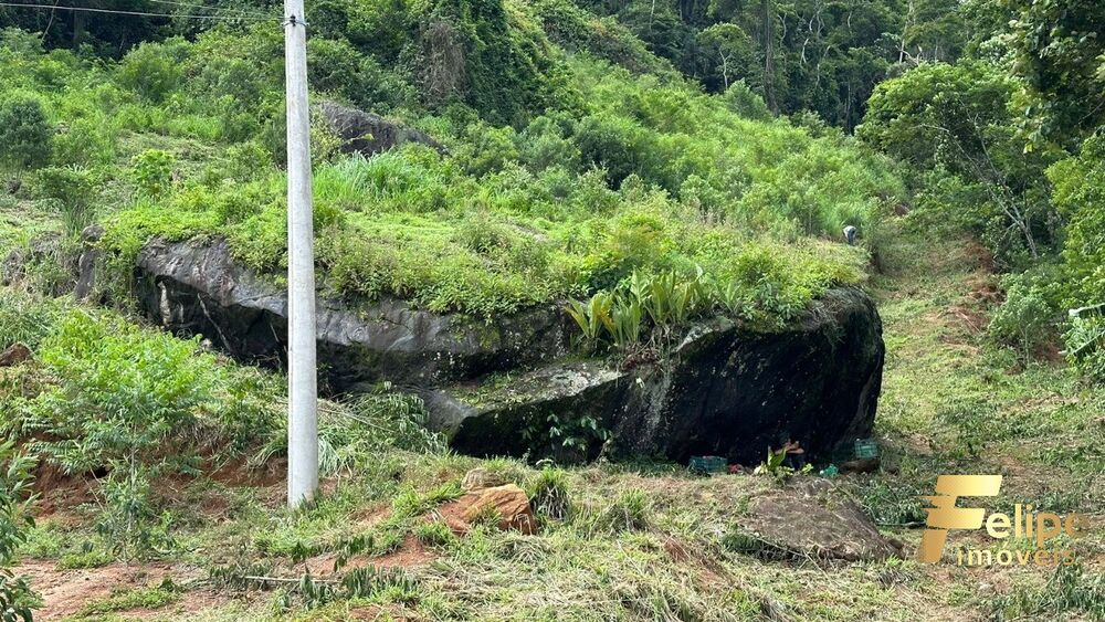 Terreno, 2 hectares - Foto 3