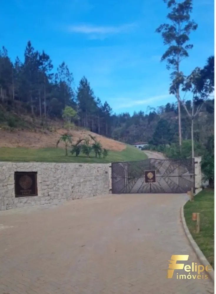 Terreno, 2 hectares - Foto 6
