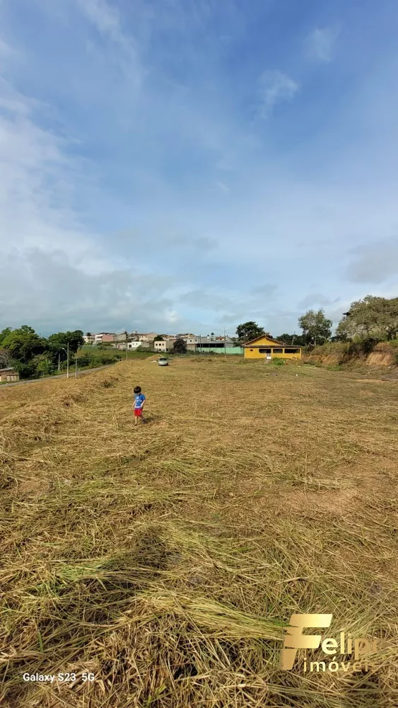 Loteamento e Condomínio à venda, 3000m² - Foto 4