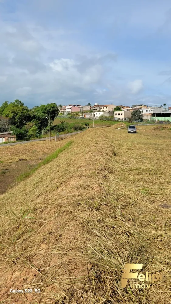 Loteamento e Condomínio, 3000 m² - Foto 10