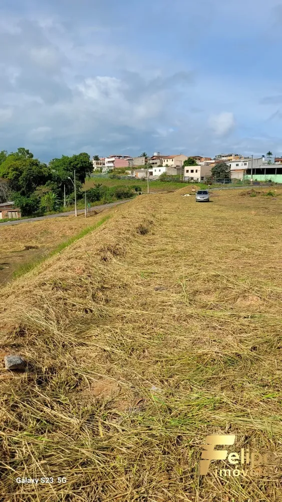 Loteamento e Condomínio, 3000 m² - Foto 5