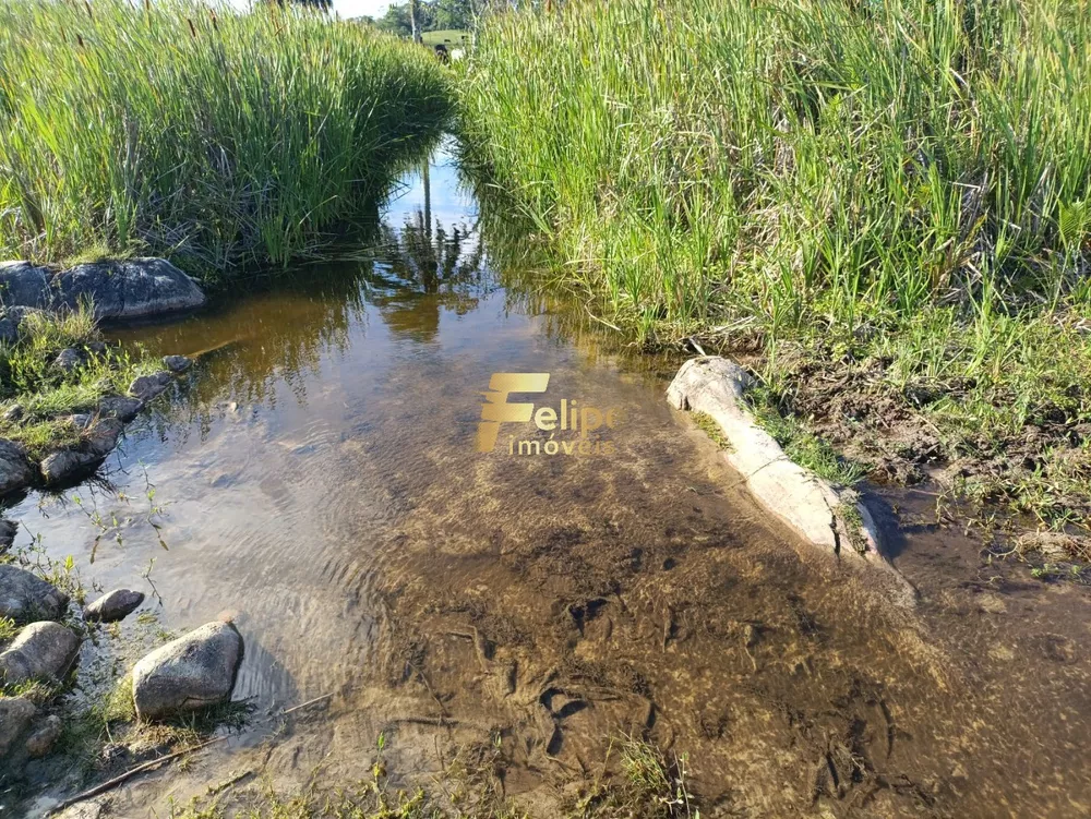 Fazenda, 280 m² - Foto 2