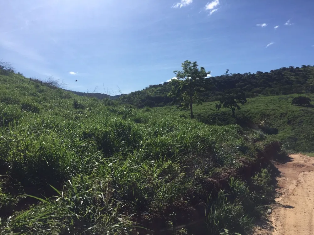 Fazenda, 113 m² - Foto 11