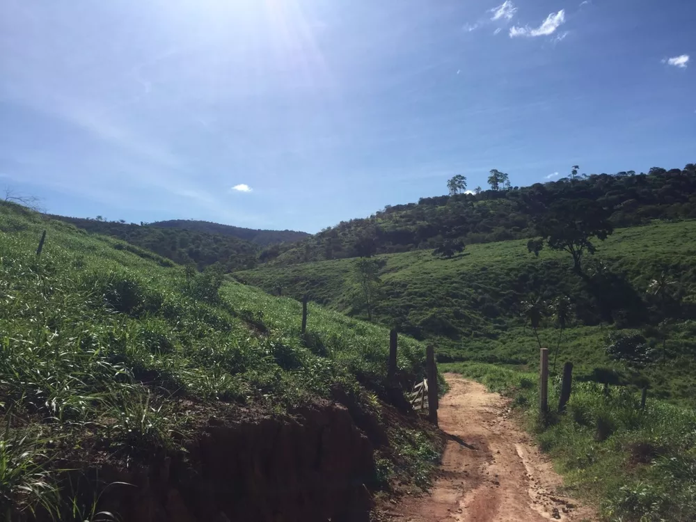 Fazenda à venda com 1 quarto, 113m² - Foto 4