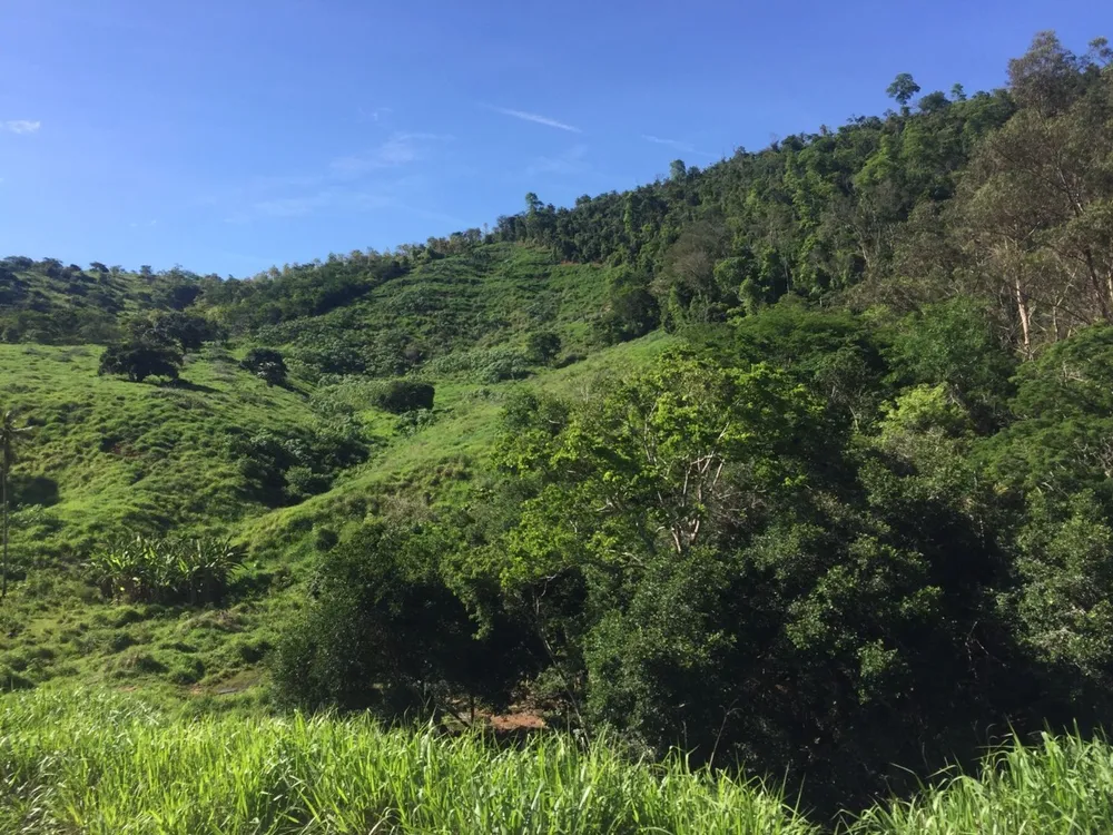 Fazenda, 113 m² - Foto 5