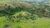 Fazenda-Sítio-Chácara, 1 quarto - Foto 19