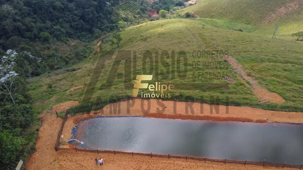 Fazenda à venda com 1 quarto, 80m² - Foto 11