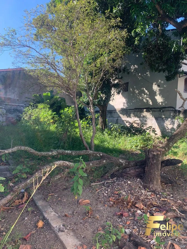 Terreno, 600 m² - Foto 5