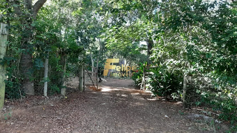 Sítio, 2 quartos, 3000 m² - Foto 8