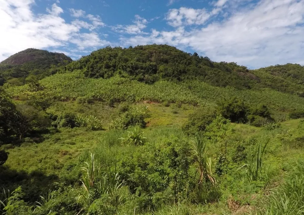 Fazenda à venda com 4 quartos, 43m² - Foto 1