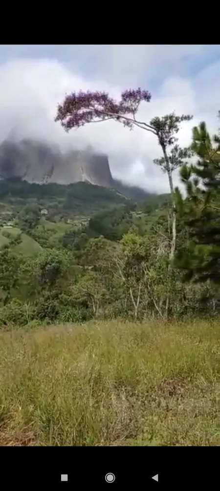 Terreno à venda, 30000m² - Foto 4