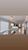 Casa, 3 quartos, 420 m² - Foto 14