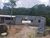 Chácara, 1 quarto, 3000 m² - Foto 3