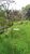 Terreno, 500 m² - Foto 6
