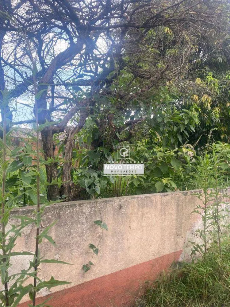 Terreno, 250 m² - Foto 2