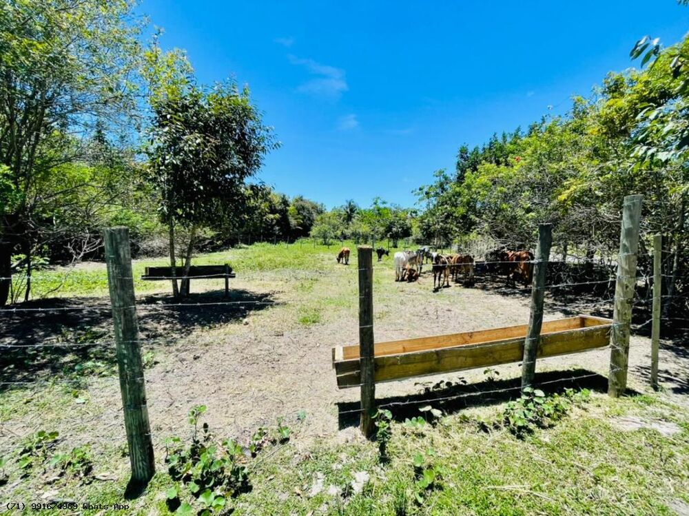 Terreno, 415 m² - Foto 4
