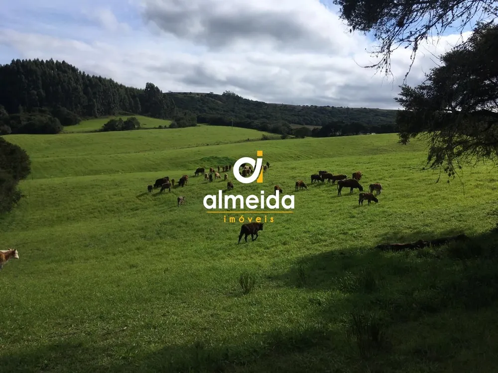 Loteamento e Condomínio, 5800000 hectares - Foto 4