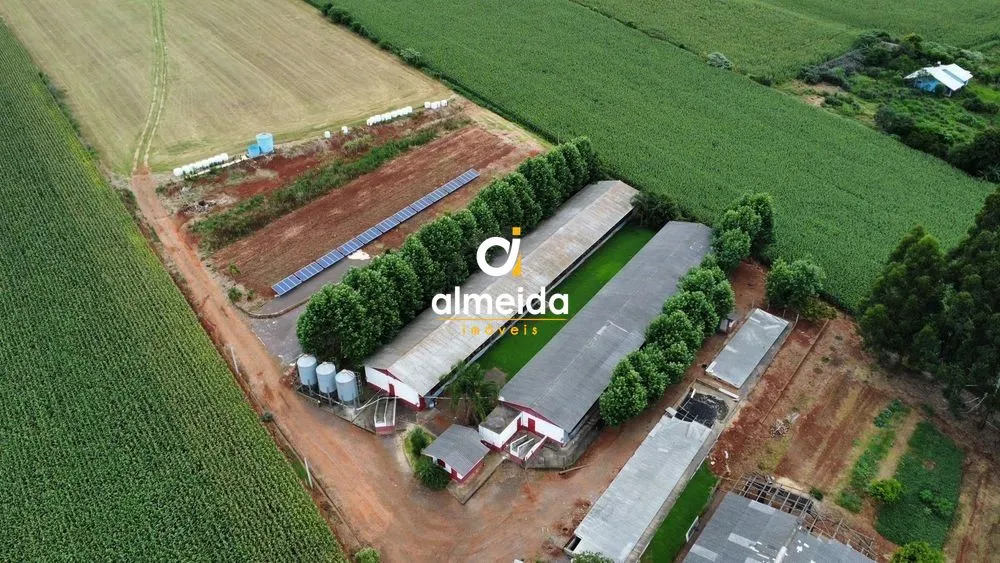 Sítio, 2 quartos, 20000 hectares - Foto 4