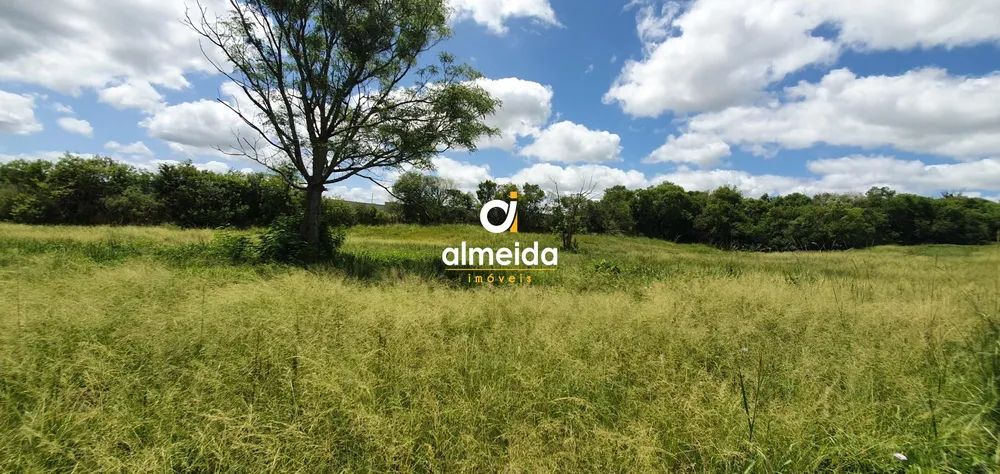 Terreno, 1 hectares - Foto 4