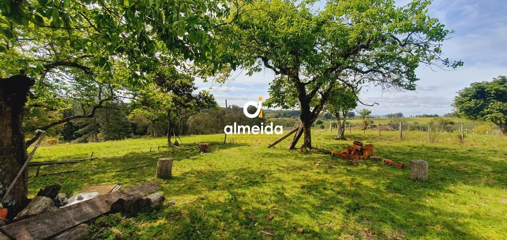Loteamento e Condomínio, 115000 hectares - Foto 1
