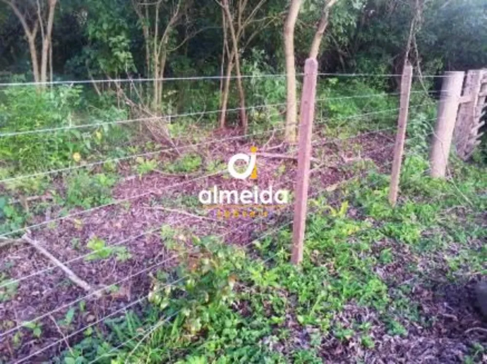 Terreno, 2019 m² - Foto 4