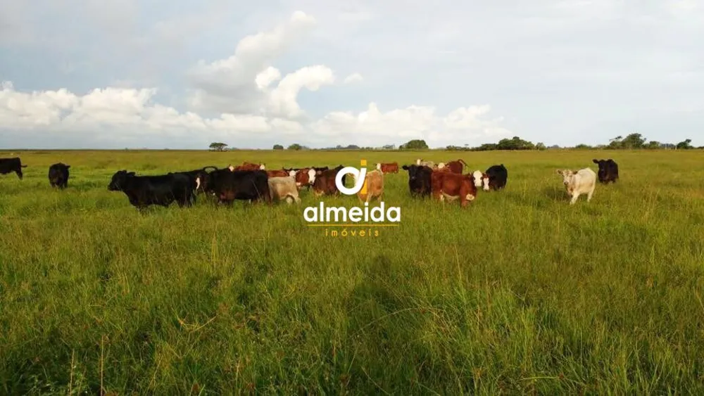 Loteamento e Condomínio, 1021 hectares - Foto 1