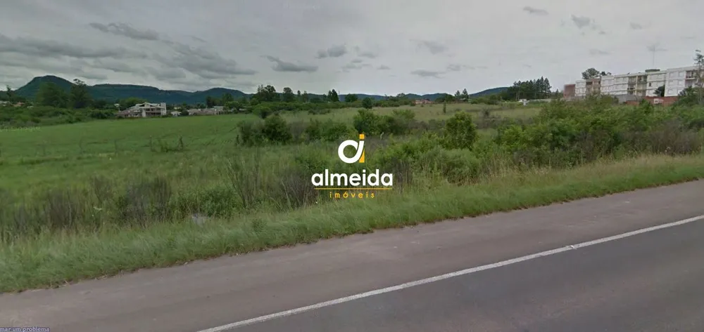 Terreno, 5 hectares - Foto 4
