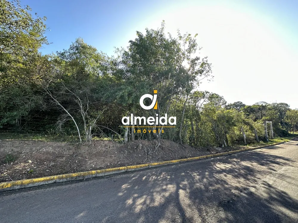 Terreno, 5000 m² - Foto 3