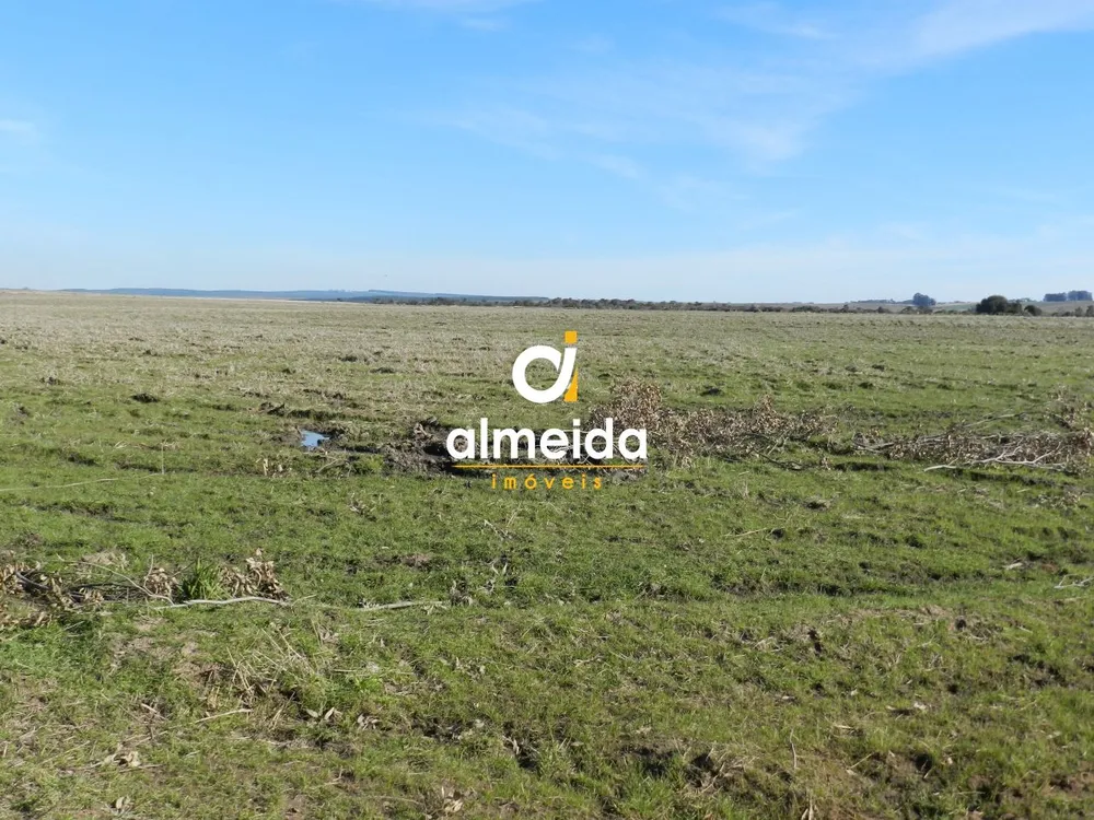 Loteamento e Condomínio, 126 hectares - Foto 1