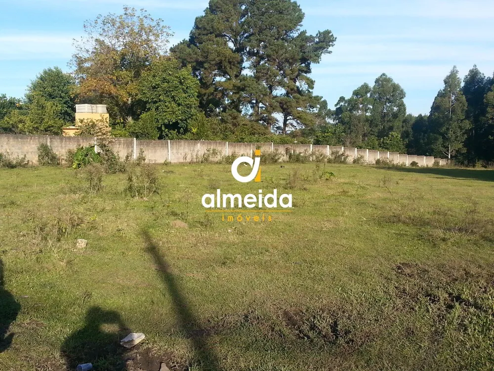 Terreno, 4 hectares - Foto 1